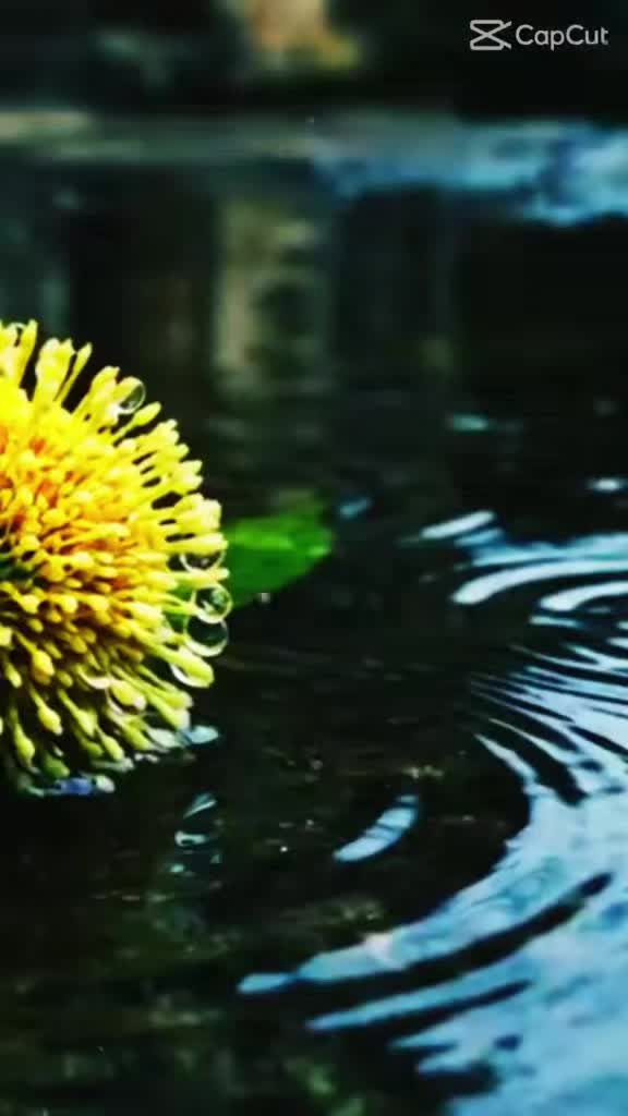 @নুর আলম