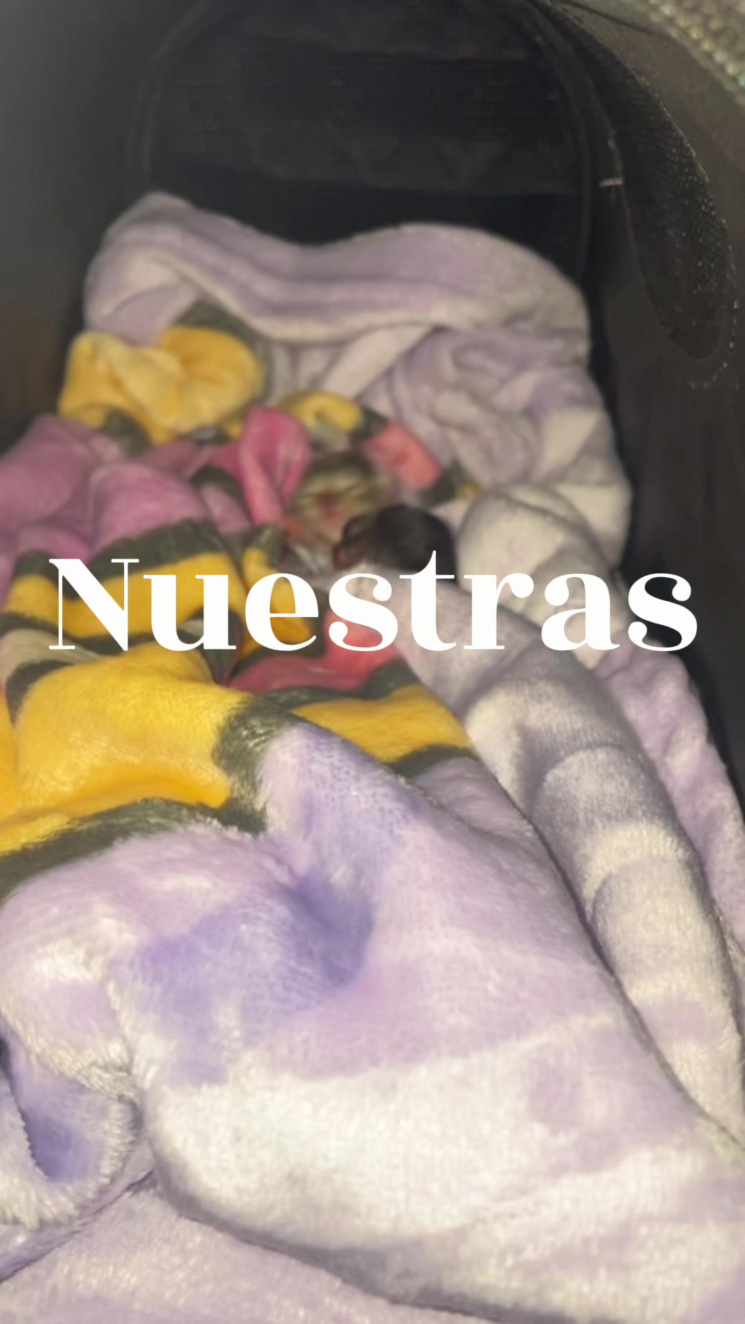 @Rayito y negrita