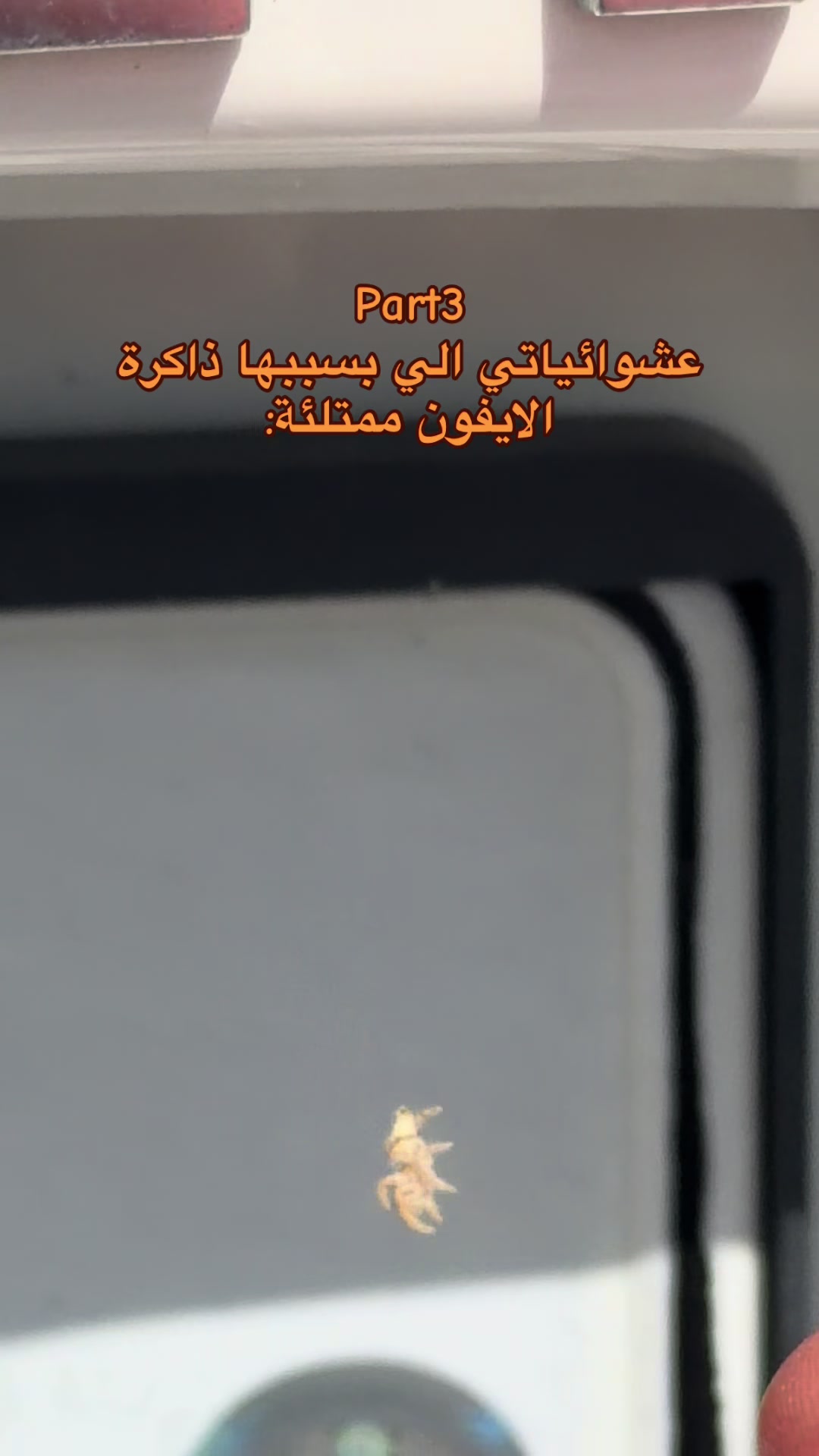 @العبير✨