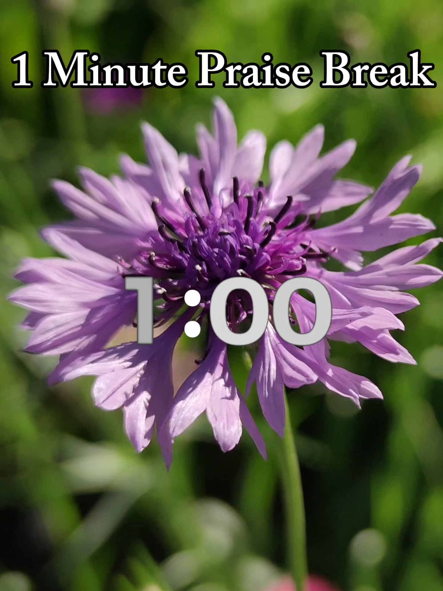 @ThePraiseSpot