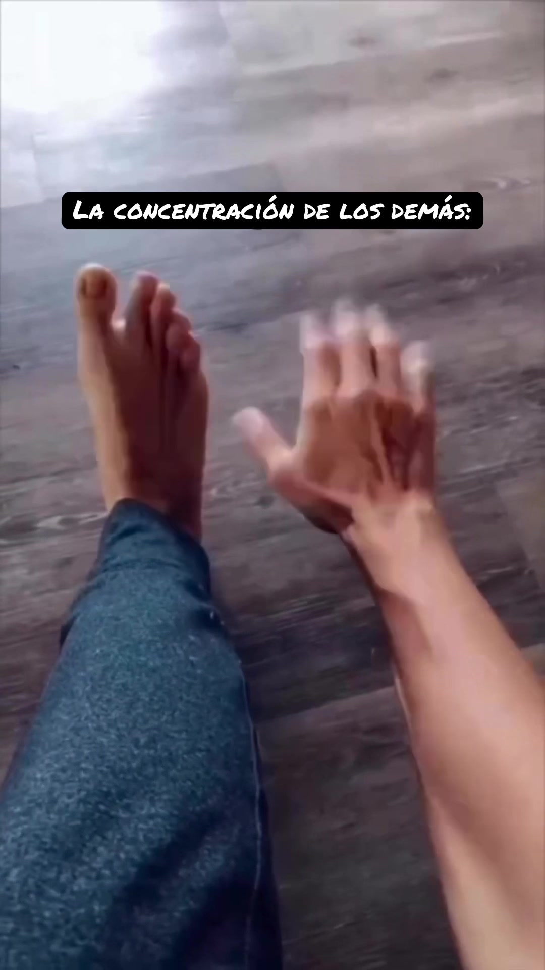 @pelofino.18