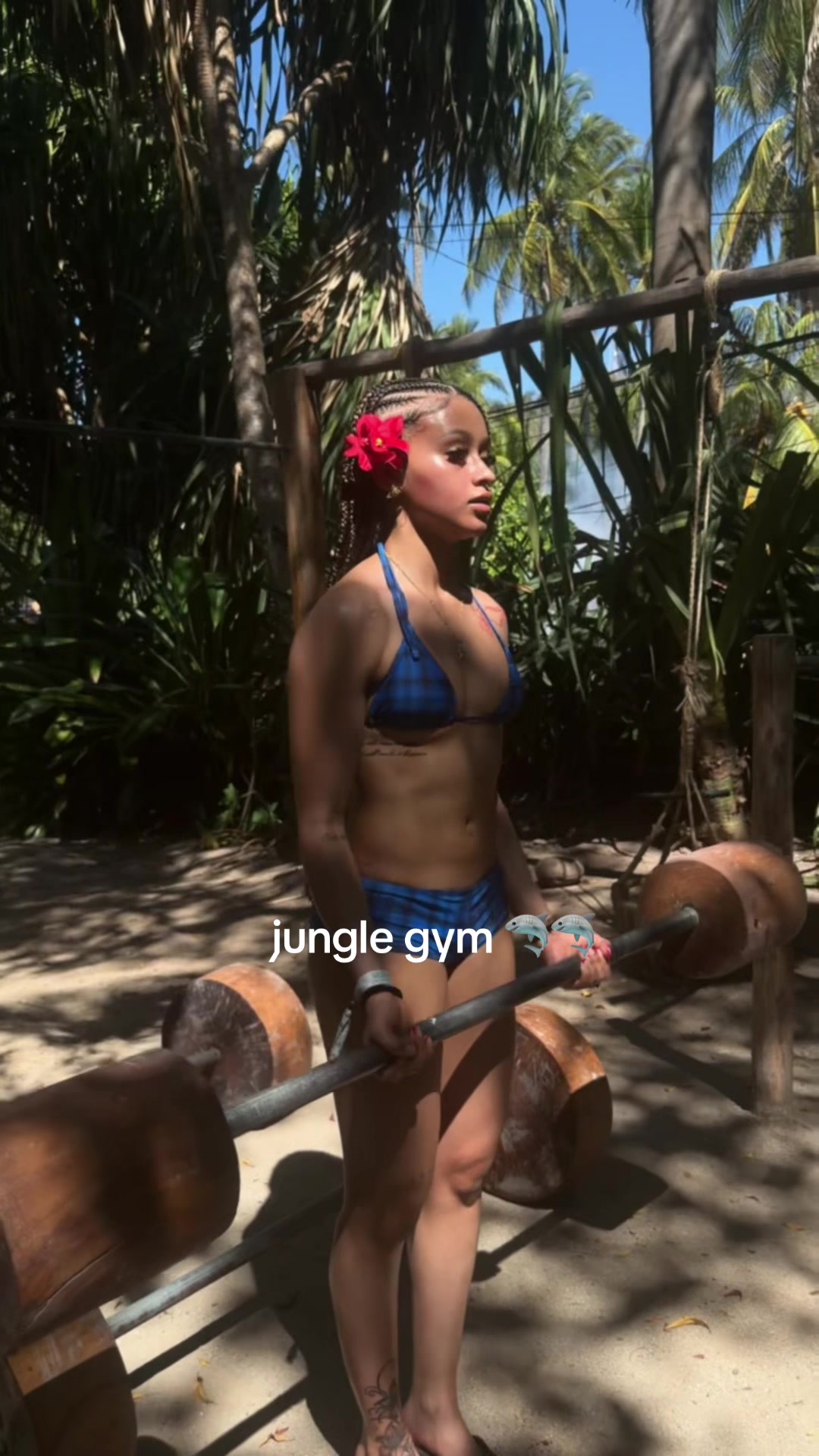 @haileytero