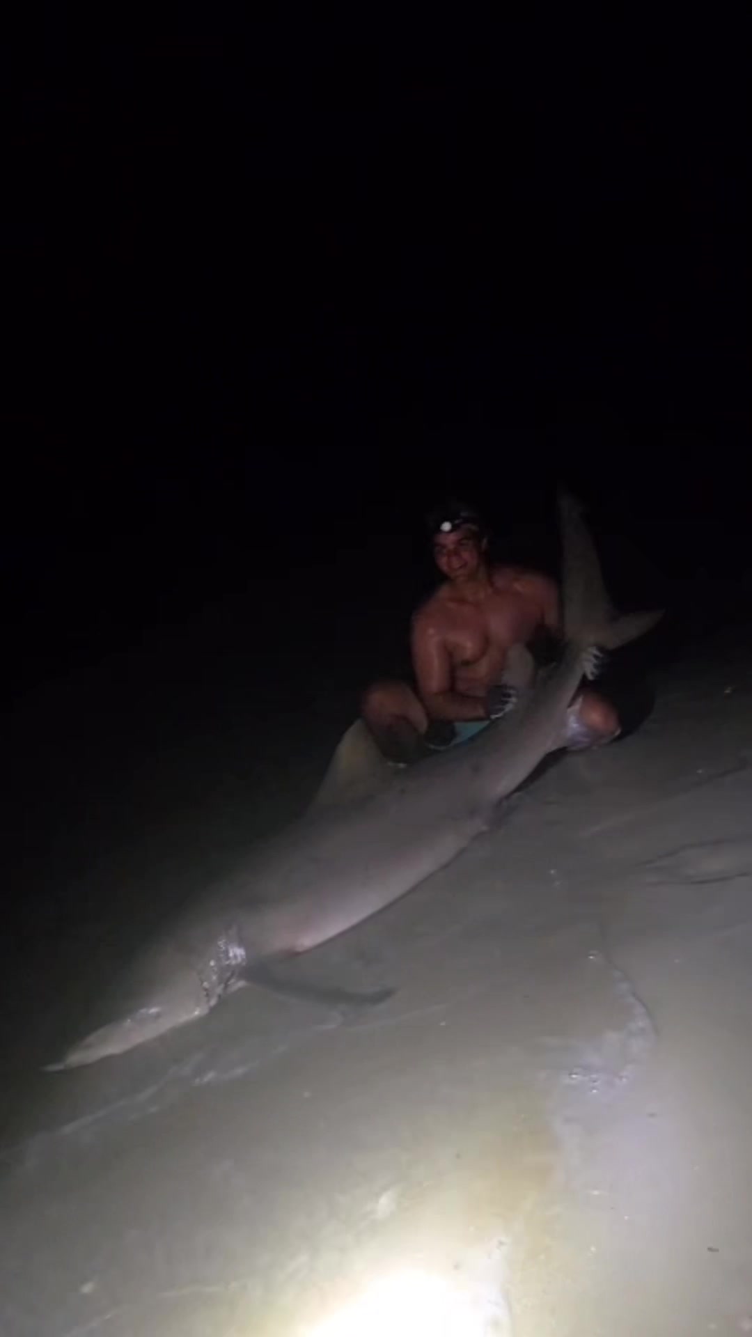 @ILM Shark Club