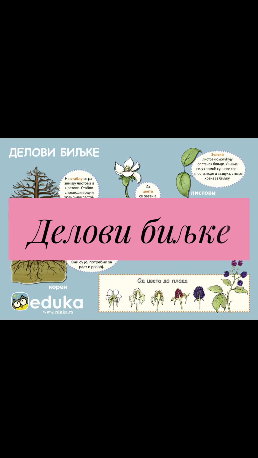 @Marija 👩🏻🔬