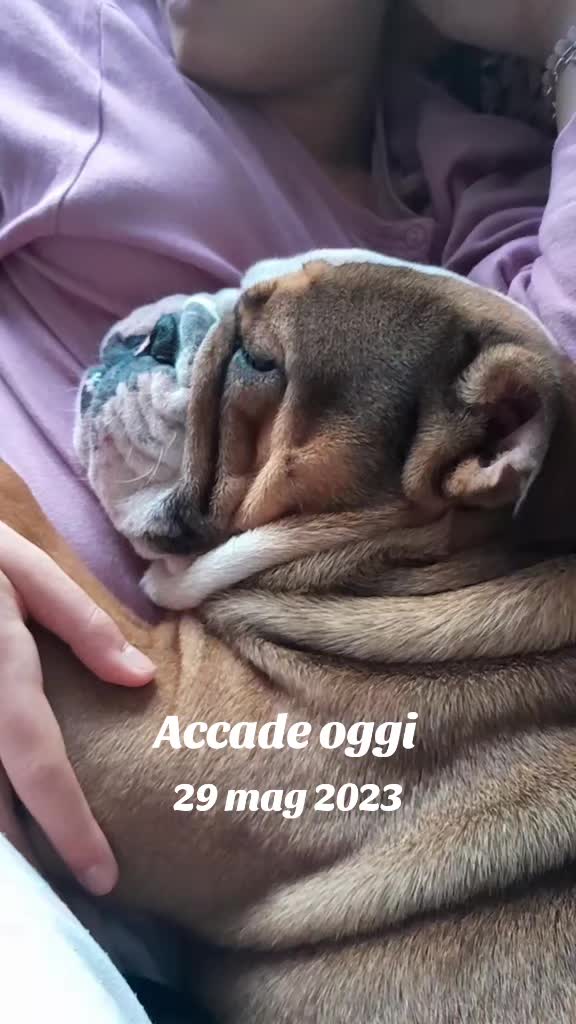 @Cri🐾M❤️rghy🐾labulla❤️