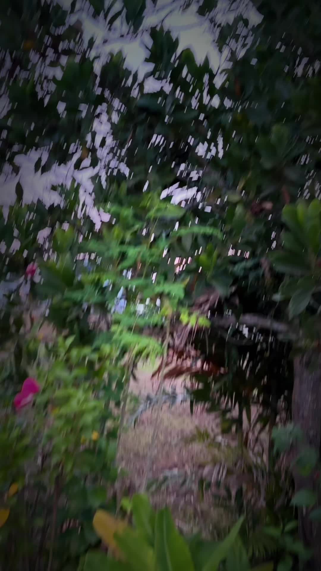 @TharshiniTharsu