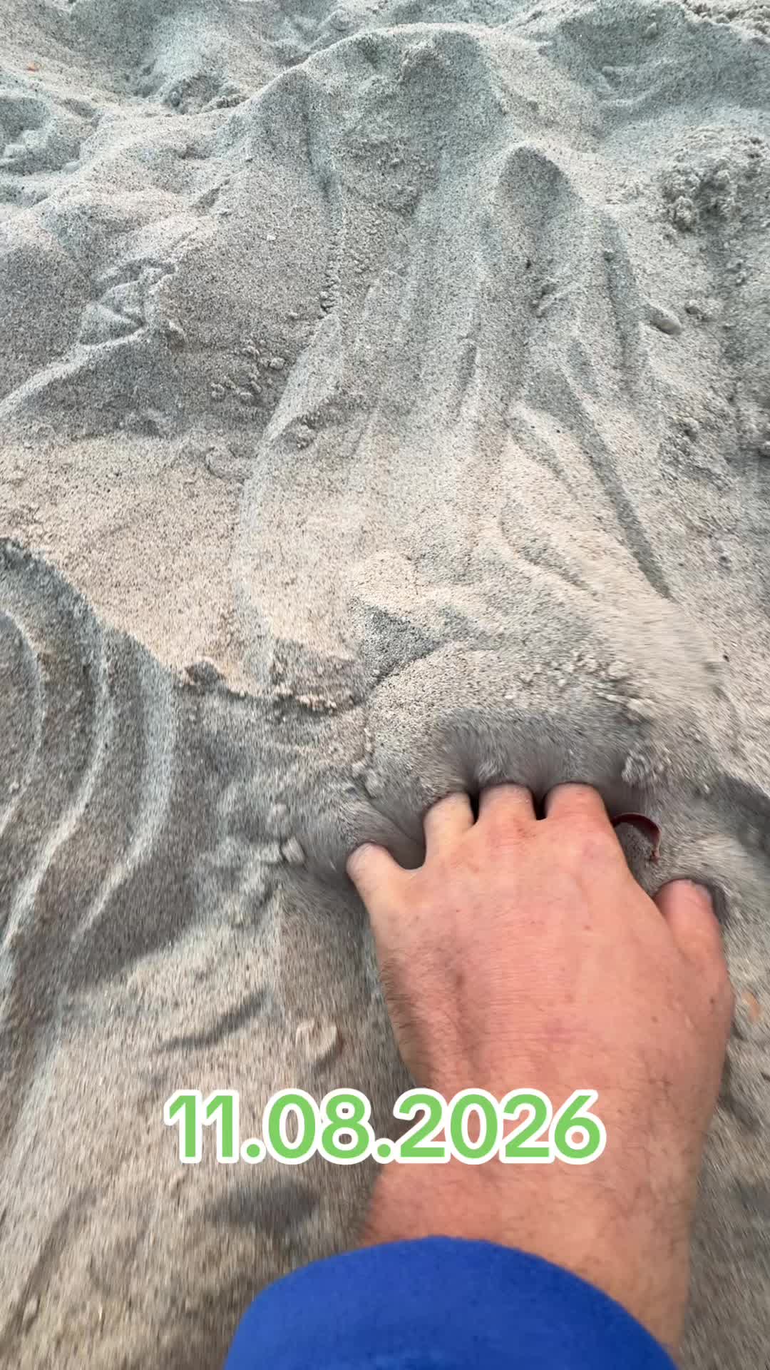 @auto_uspex_sp