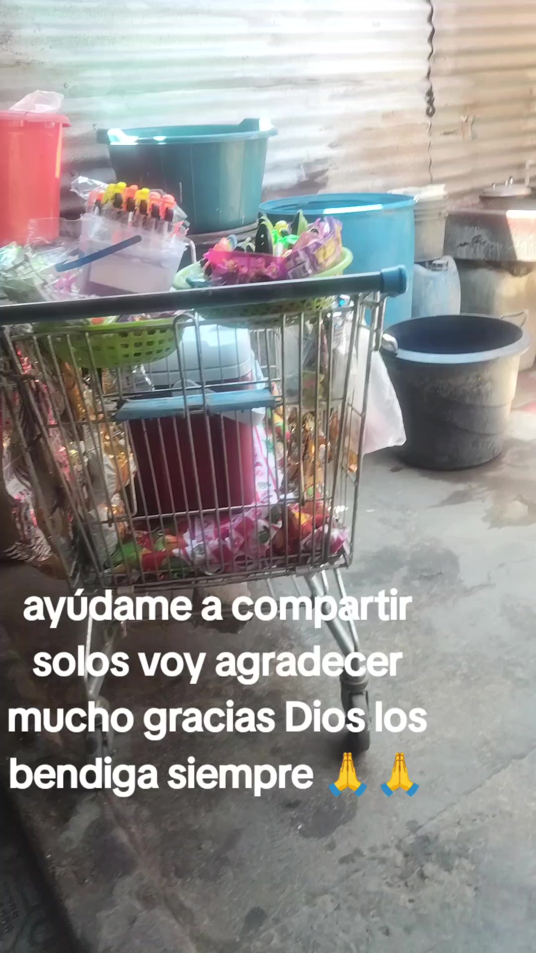 @Rebeca Chen