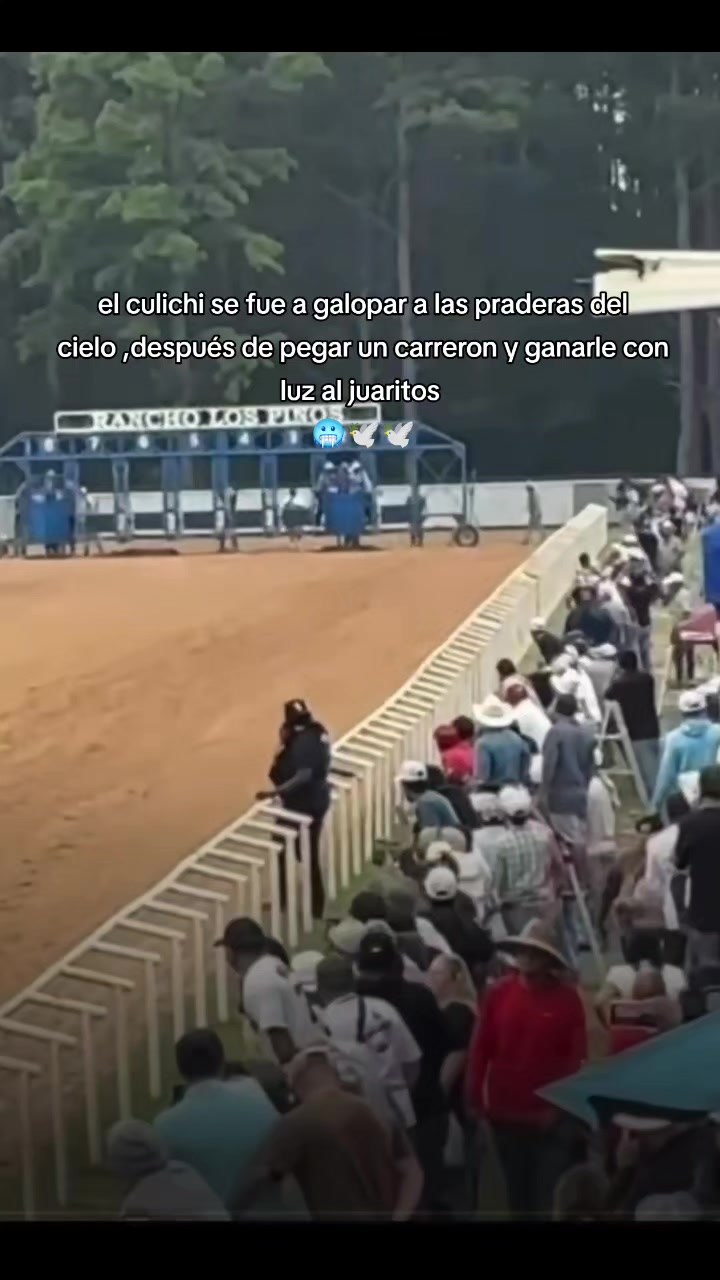 @carriles altos de jalisco🐎