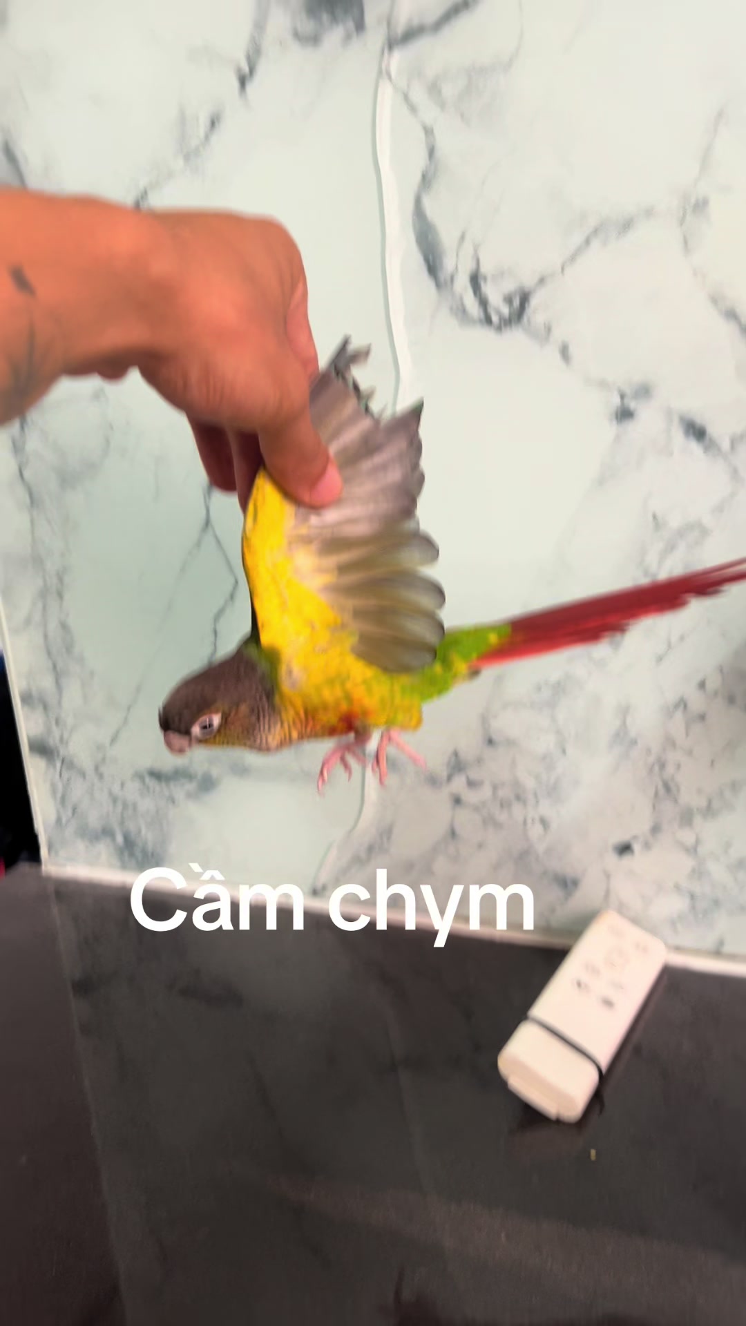 @Cawick Phan