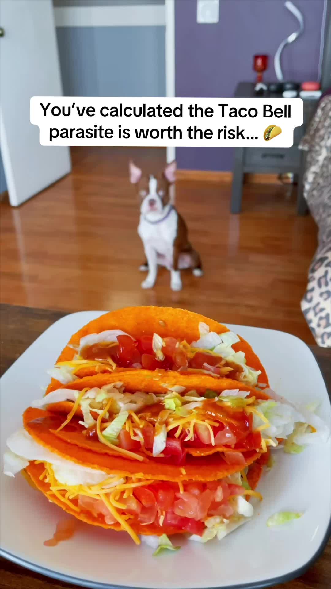 @WhenAshMetBowser