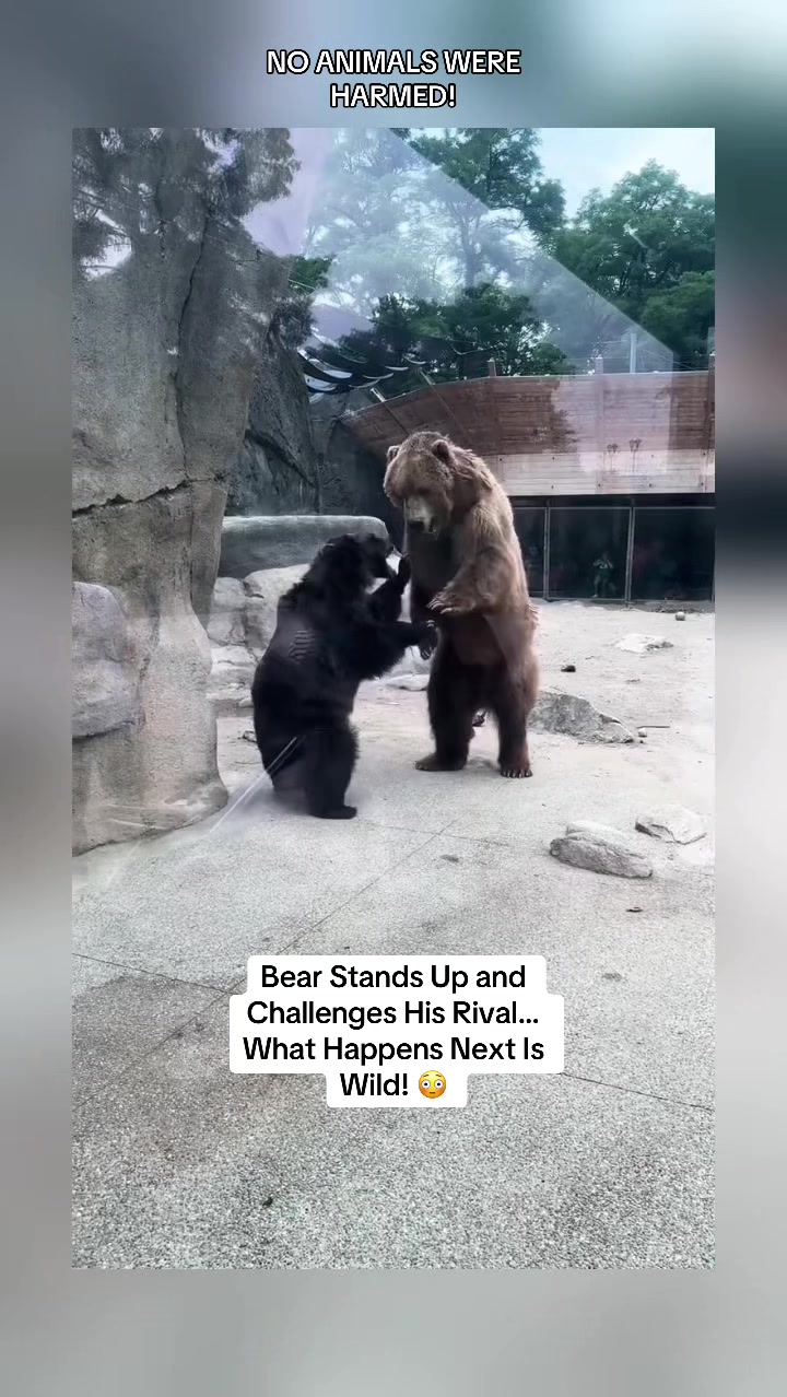 @@zbdiditagain