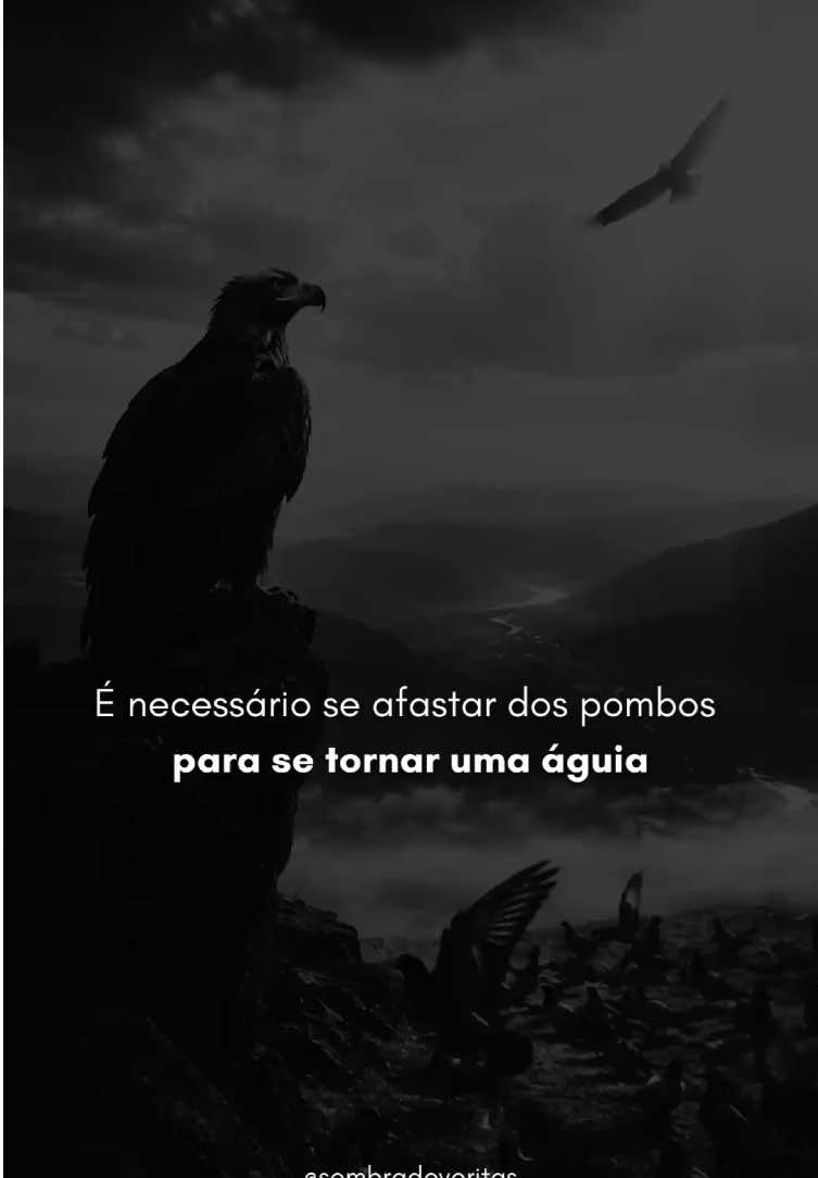 @Sombra de Veritas