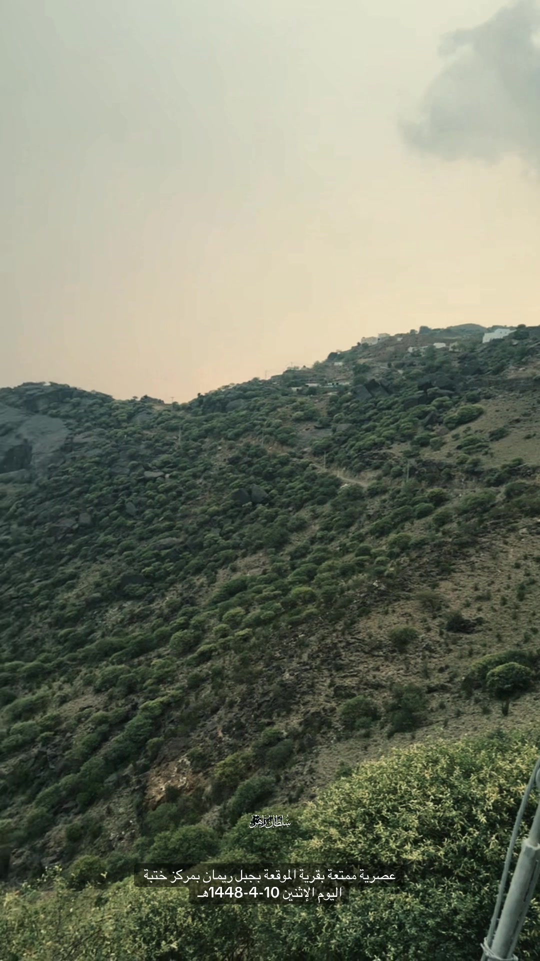@سلطان زاهر