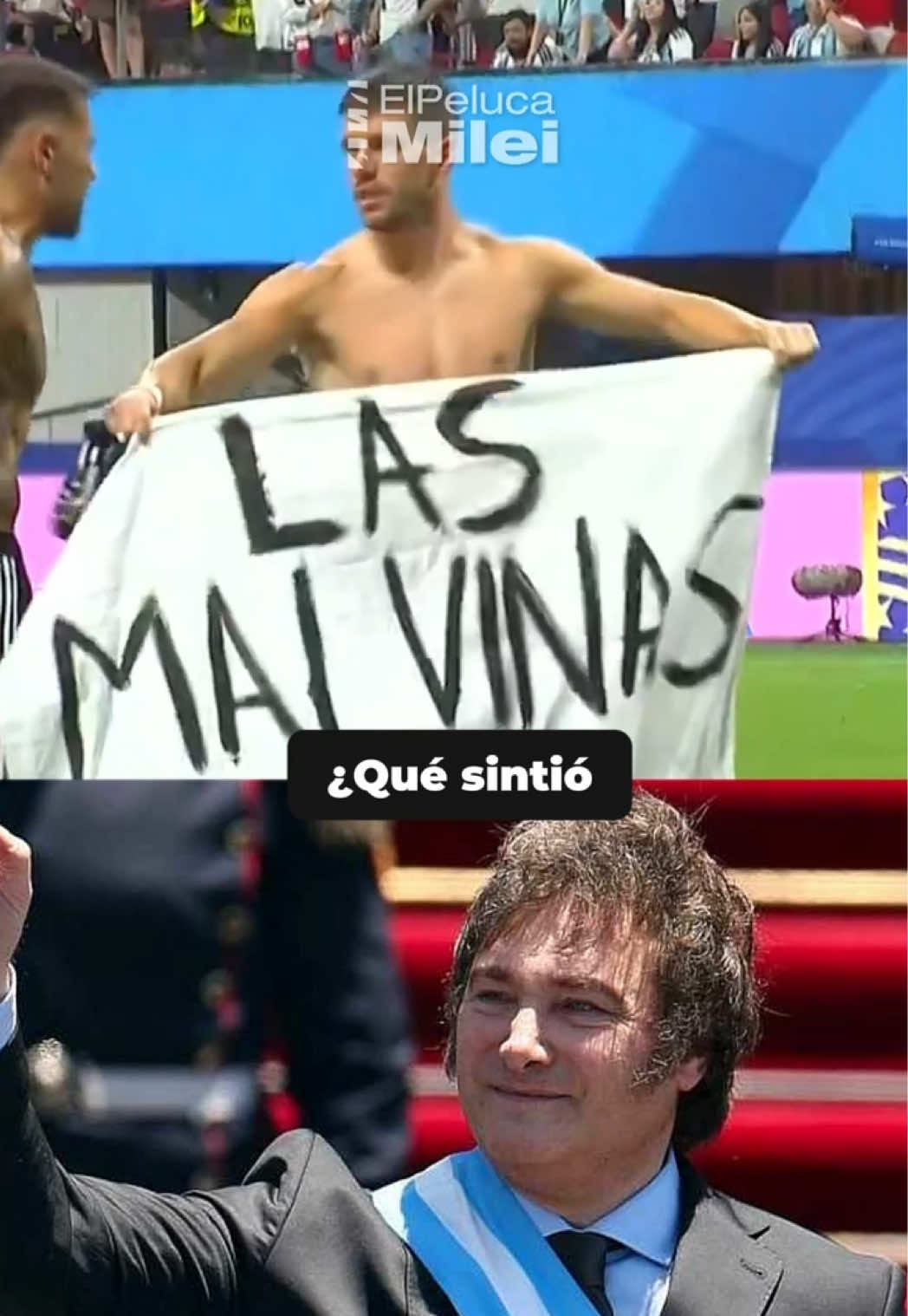 @El Peluca Milei