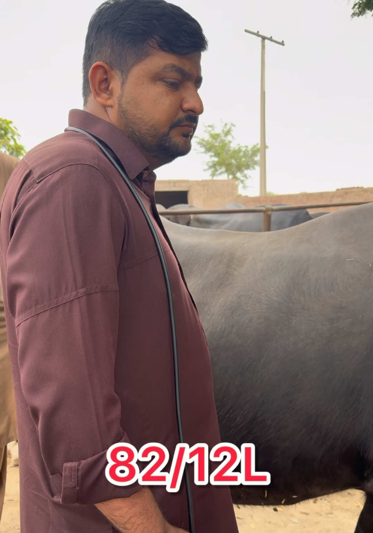 @Dr.Mohsin