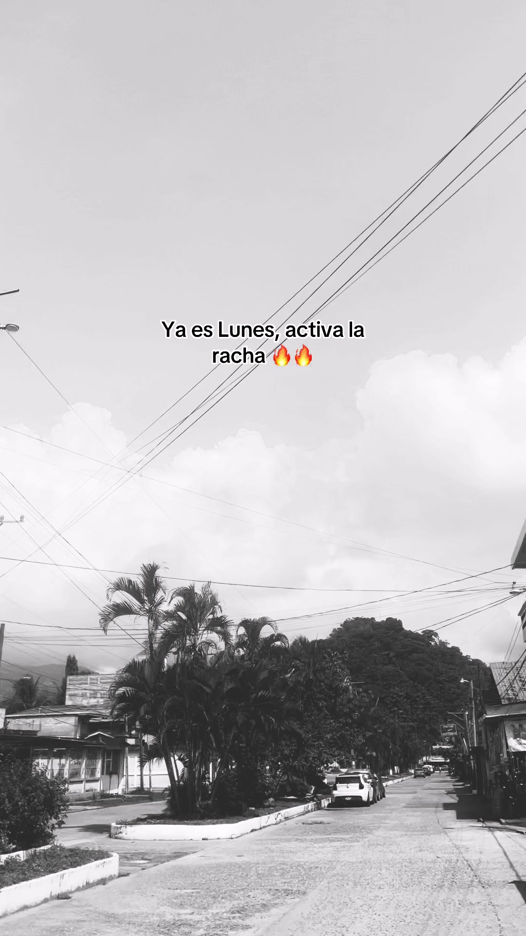 @🥀vane🪫