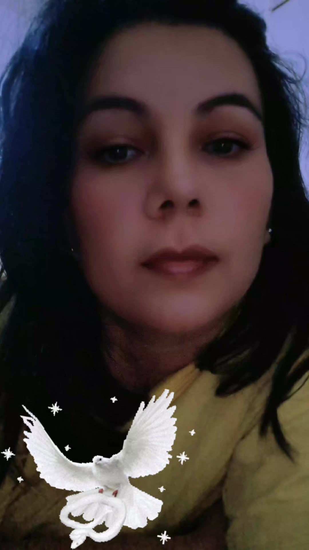 @Vanes_santos