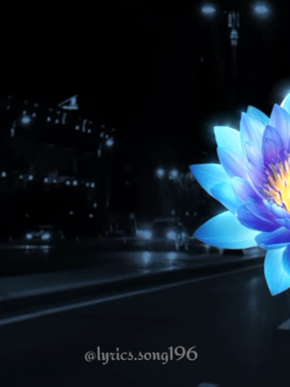 @vibewave