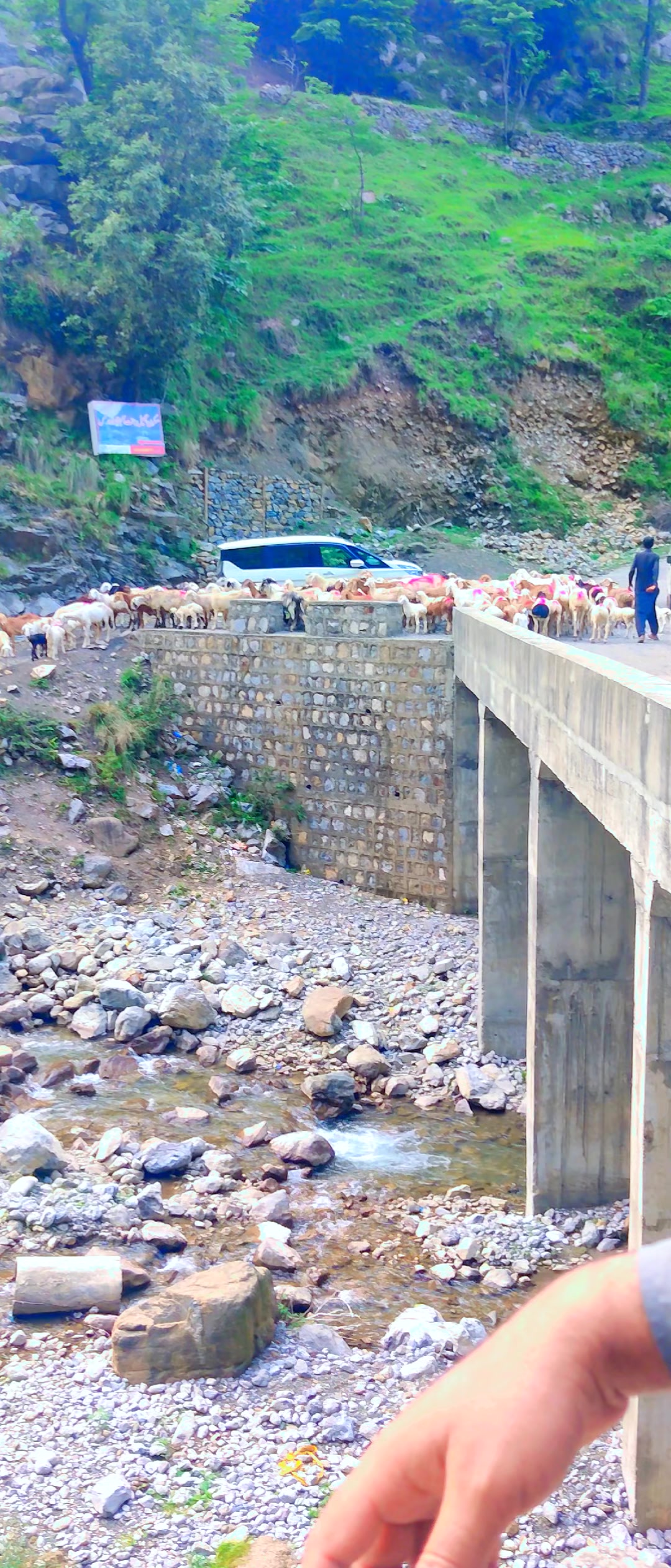 @A.K Abbasi 🇵🇰