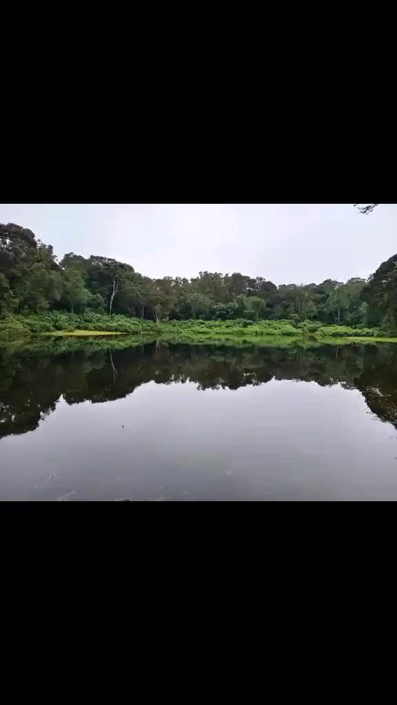 @johnsy082