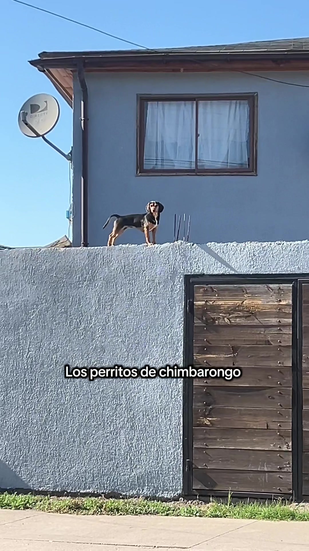 @Mari