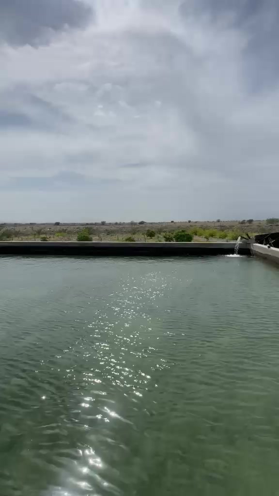 @میران ماجد