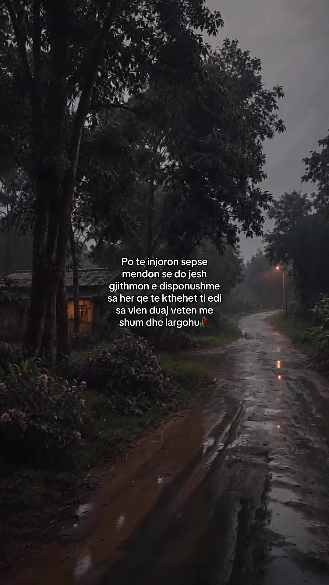 @Thenje&ensp;Per&ensp;Jeten🥀