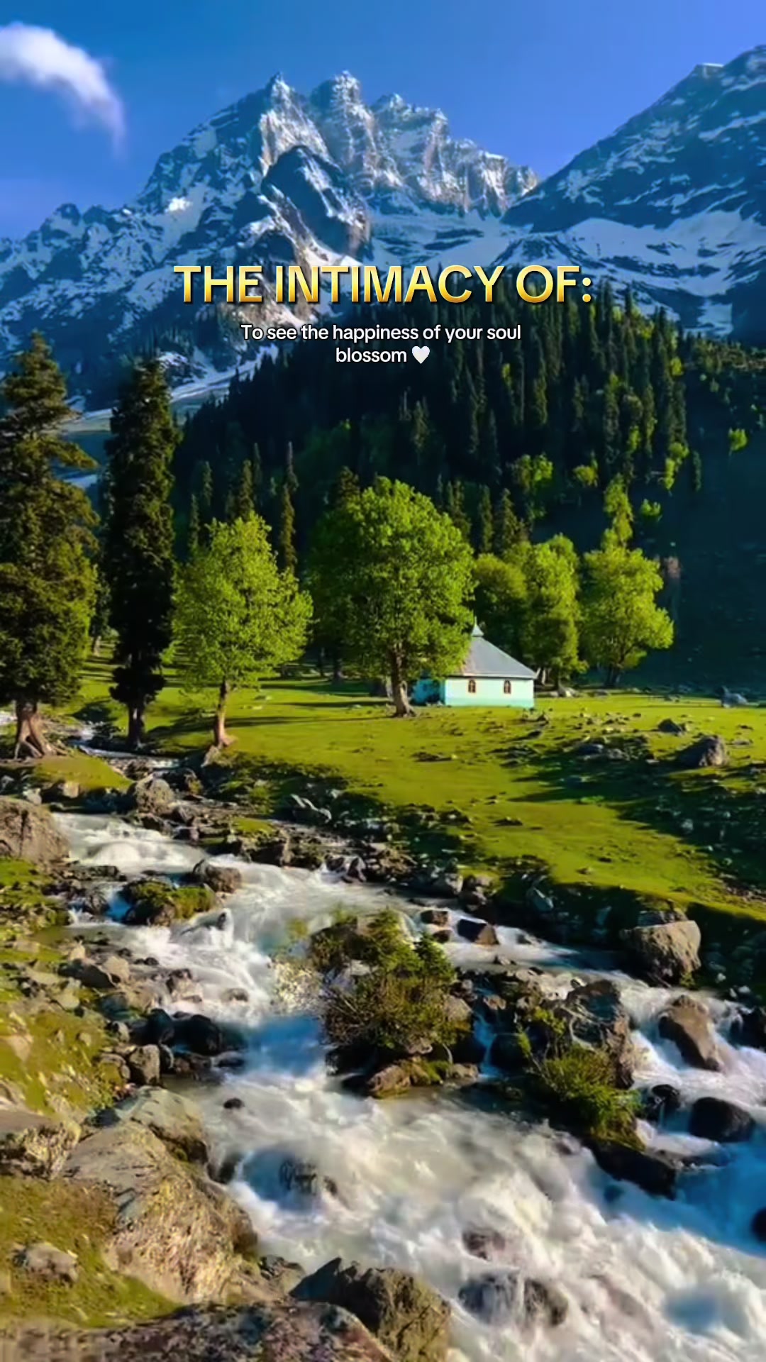 @jiyaimran10