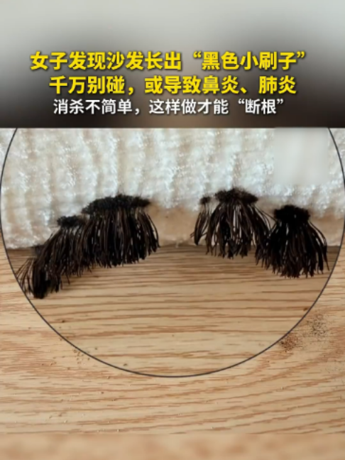 @闽南风~