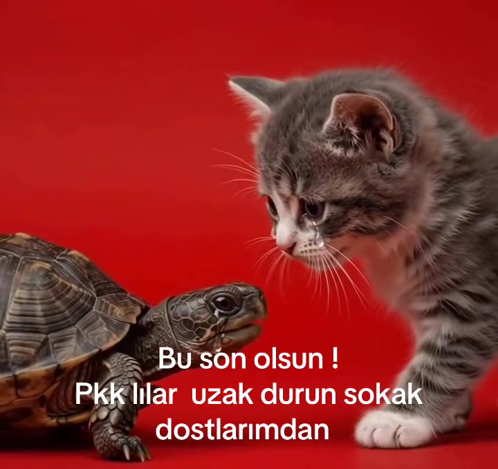 @EMRE ACAR