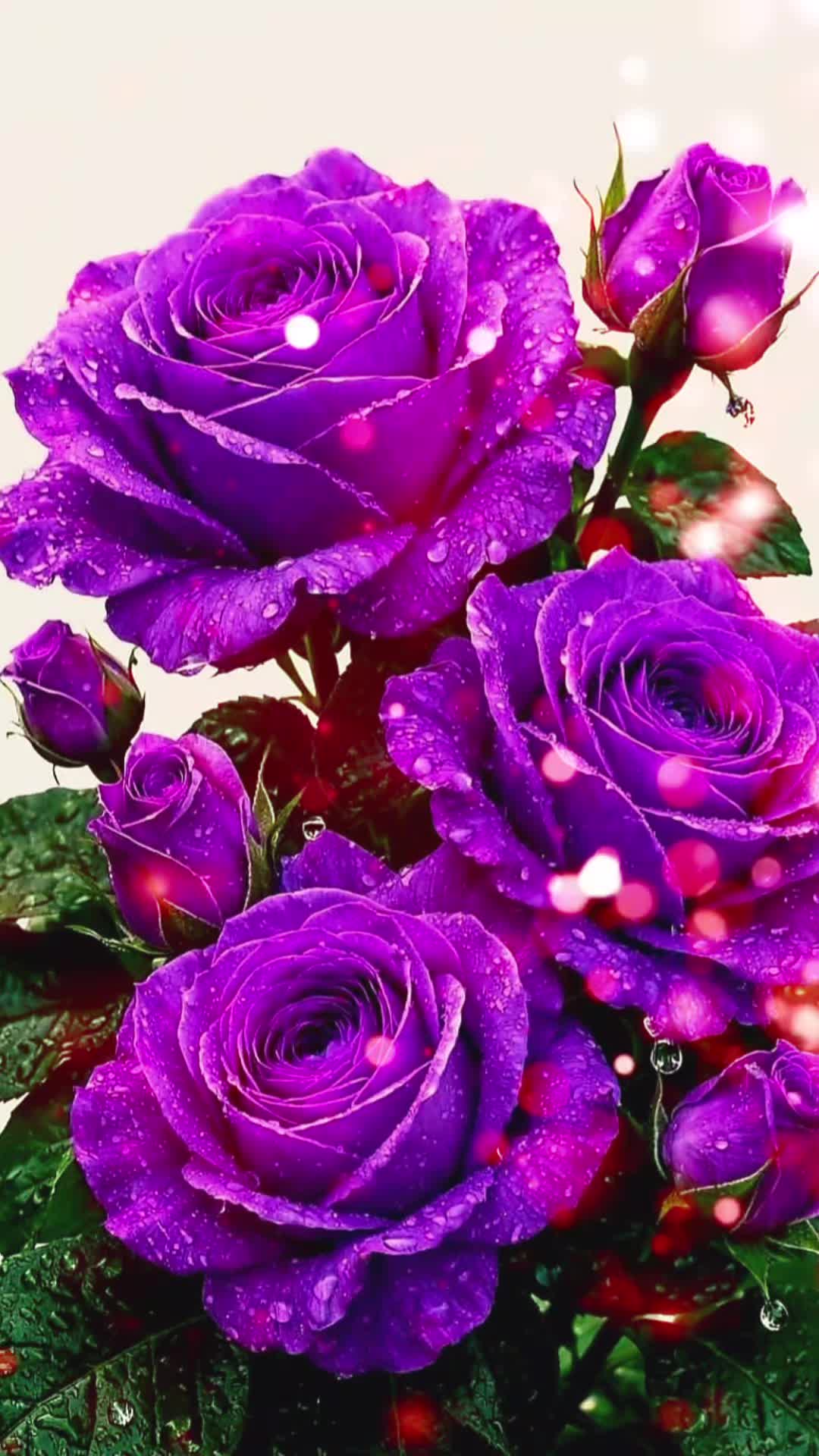 @🌹🦋Moni🦋🌹