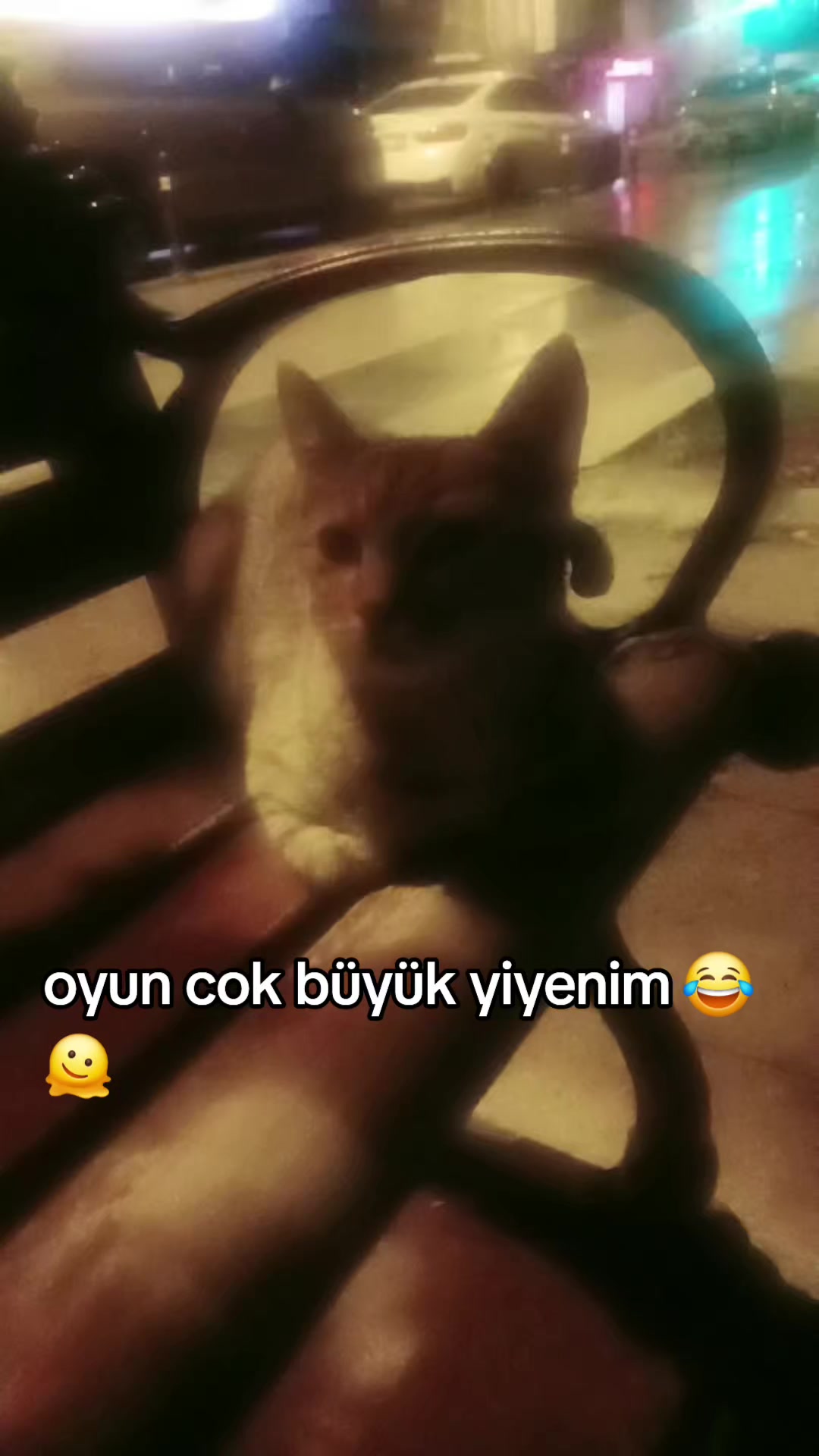 @deniz