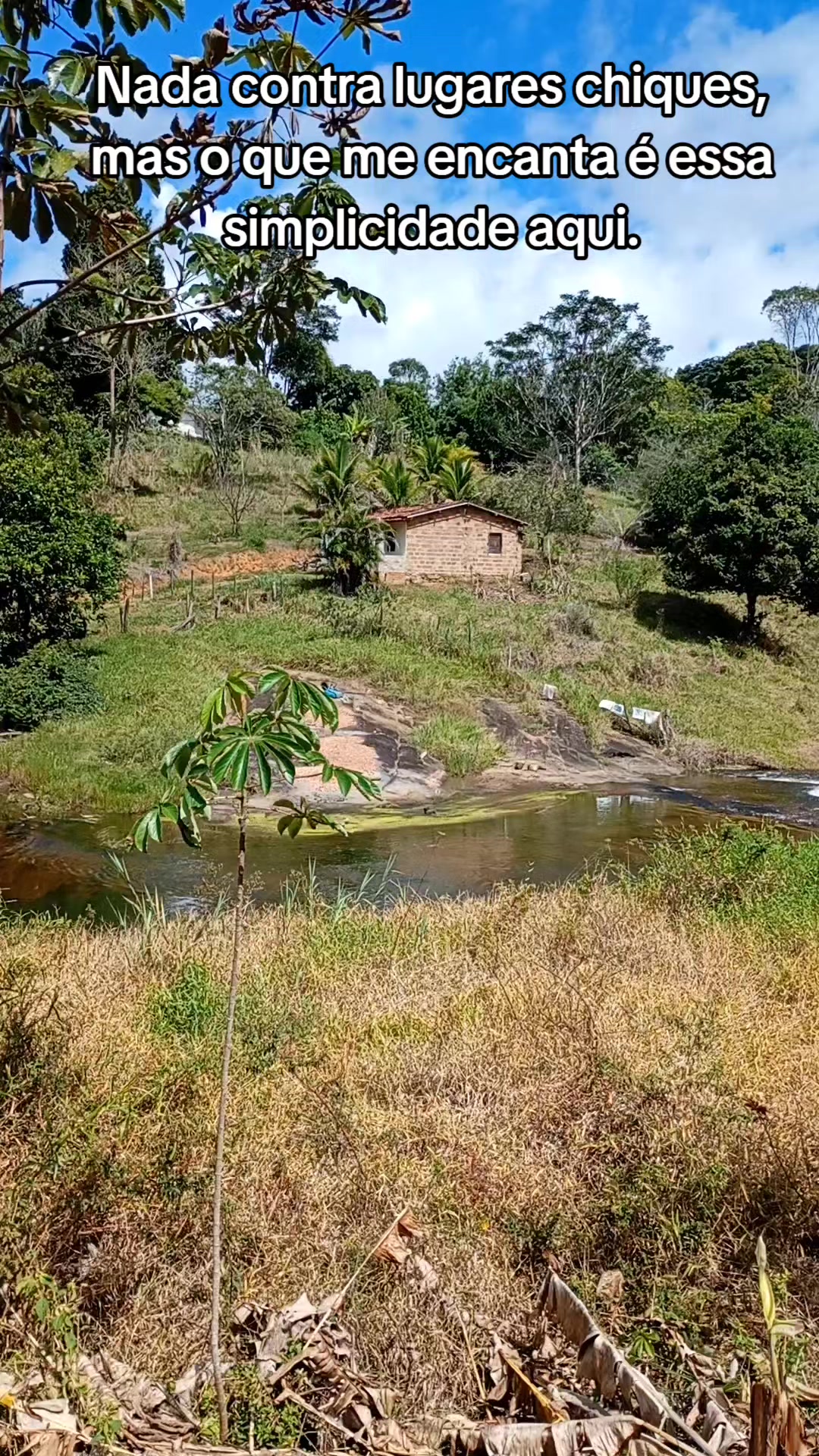 @Roça 🤠🌱