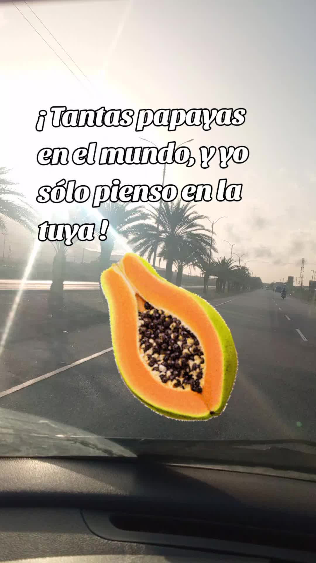 @🦴🦴 B O N E 🦴🦴