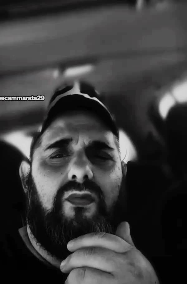 @lupo solitario 2