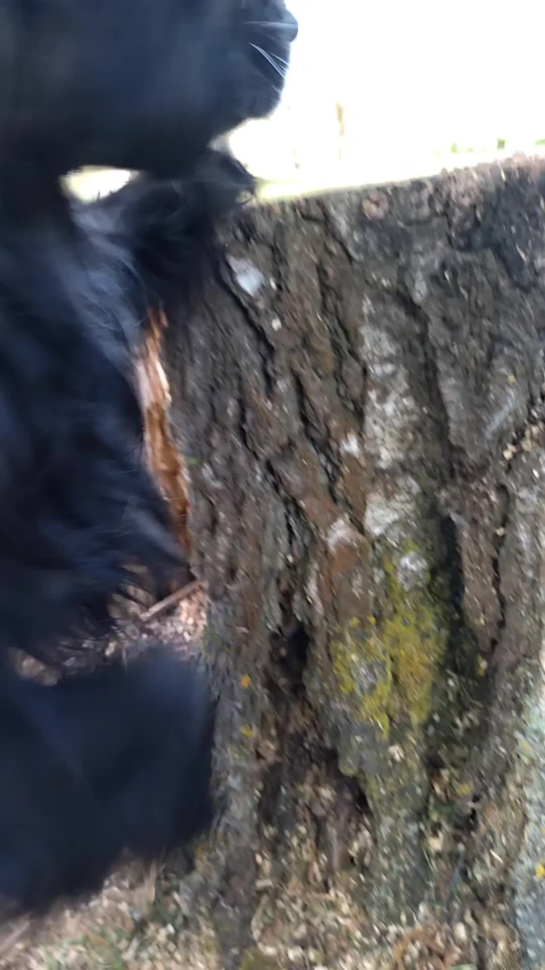 @vikalisa05