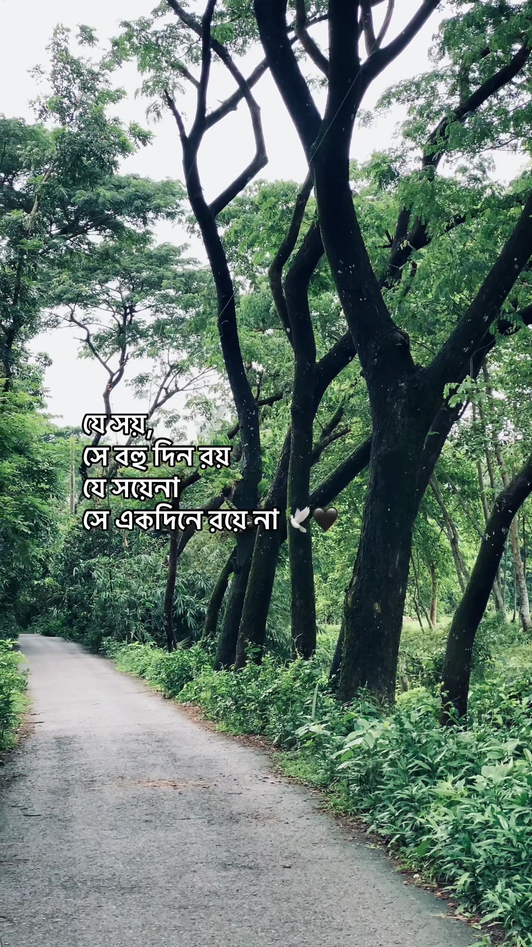 @_নিখোঁজ_