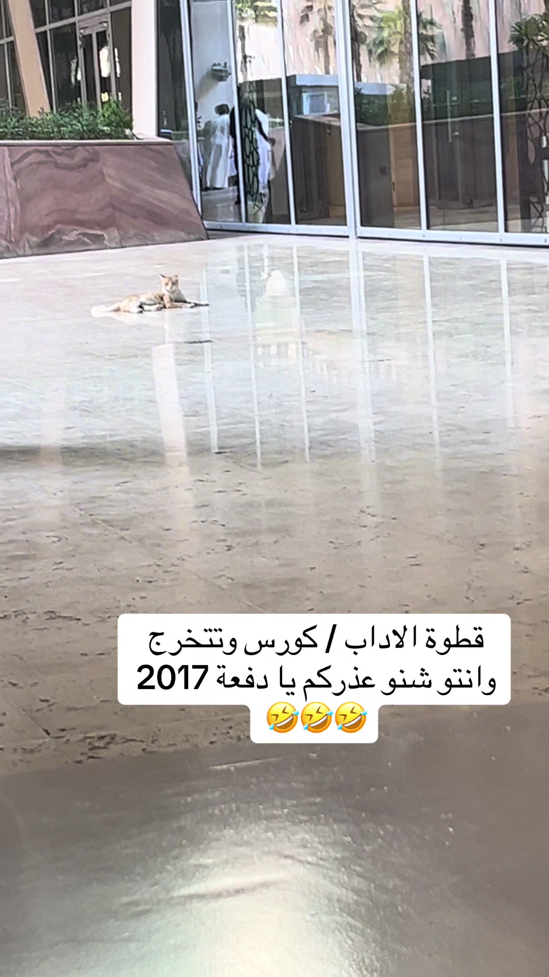 @قريد الشدادية .." 🎩