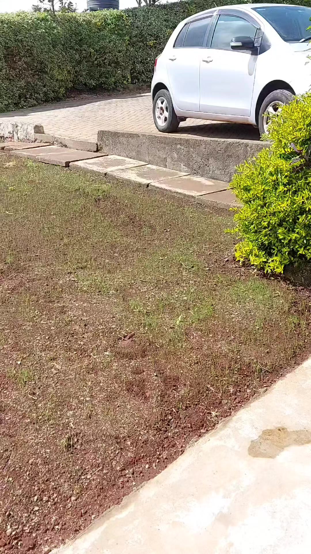 @KG Lawncare
