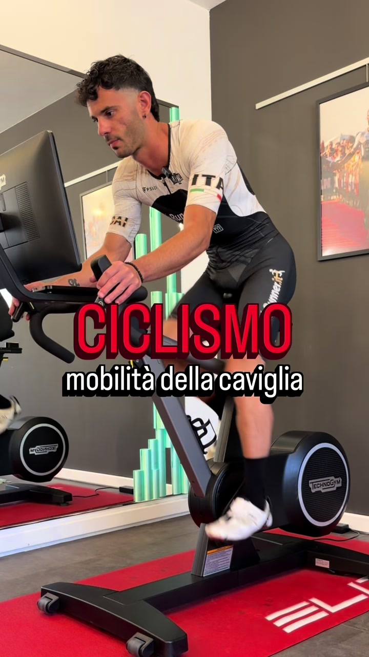 @Flamigni Trainer