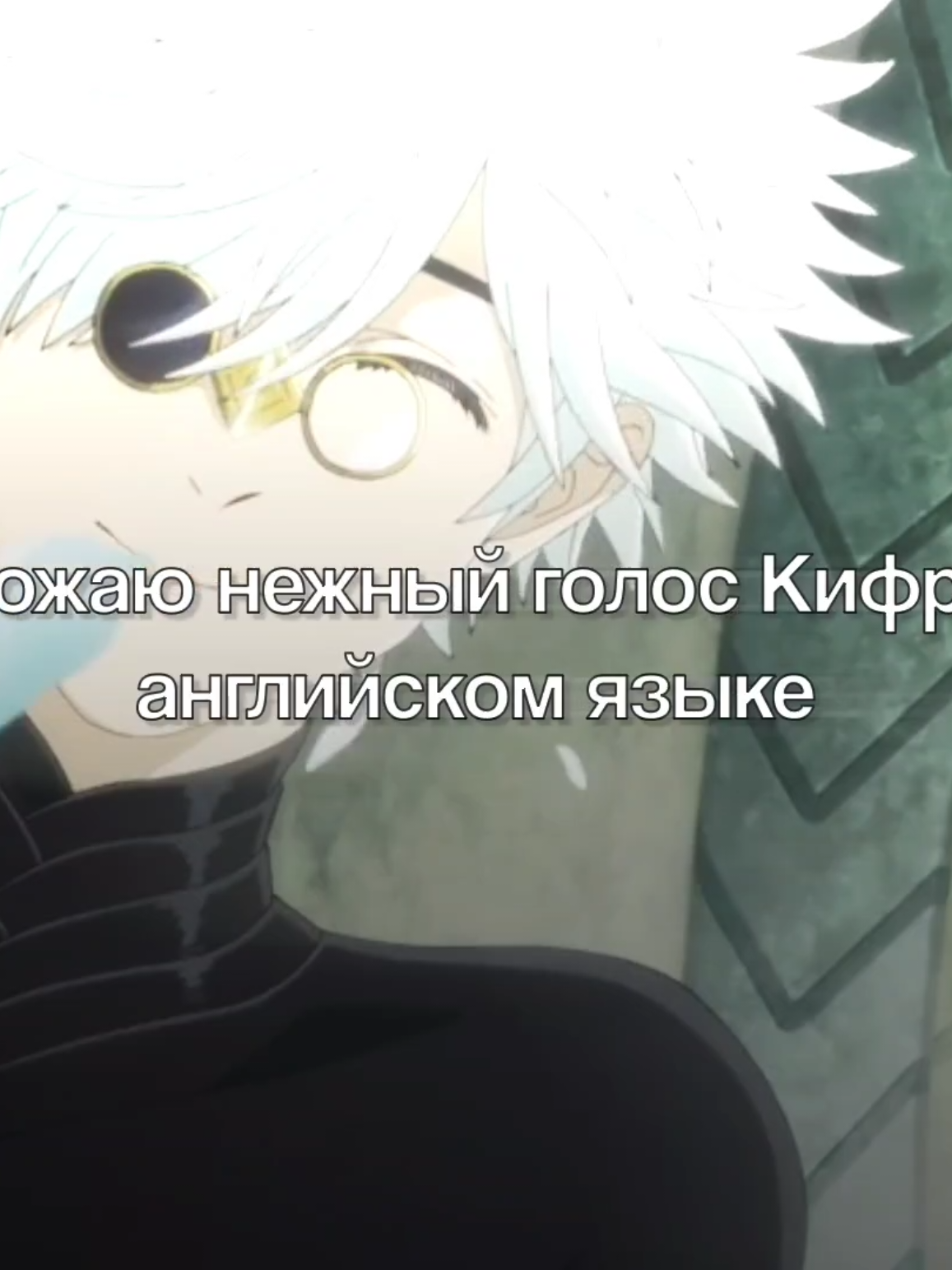 @кот
