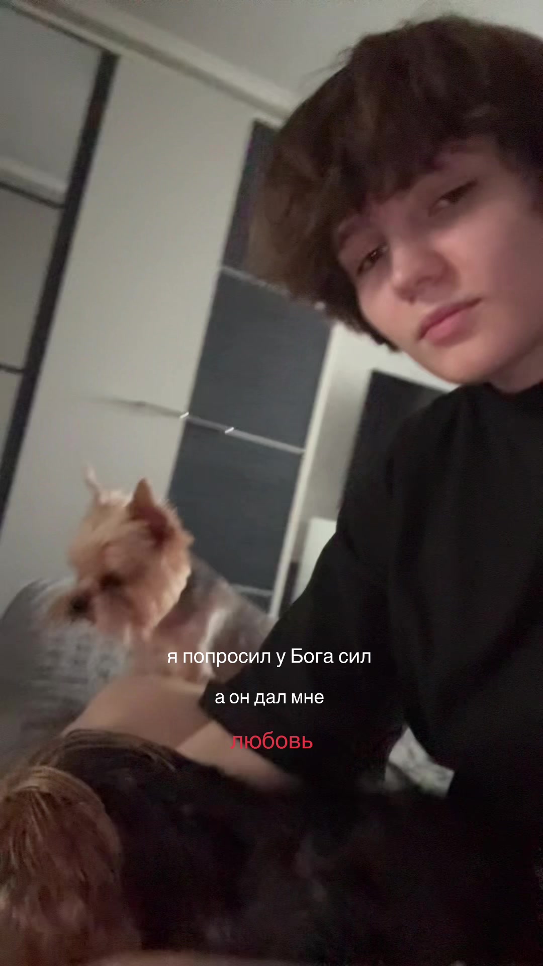 @dealexion