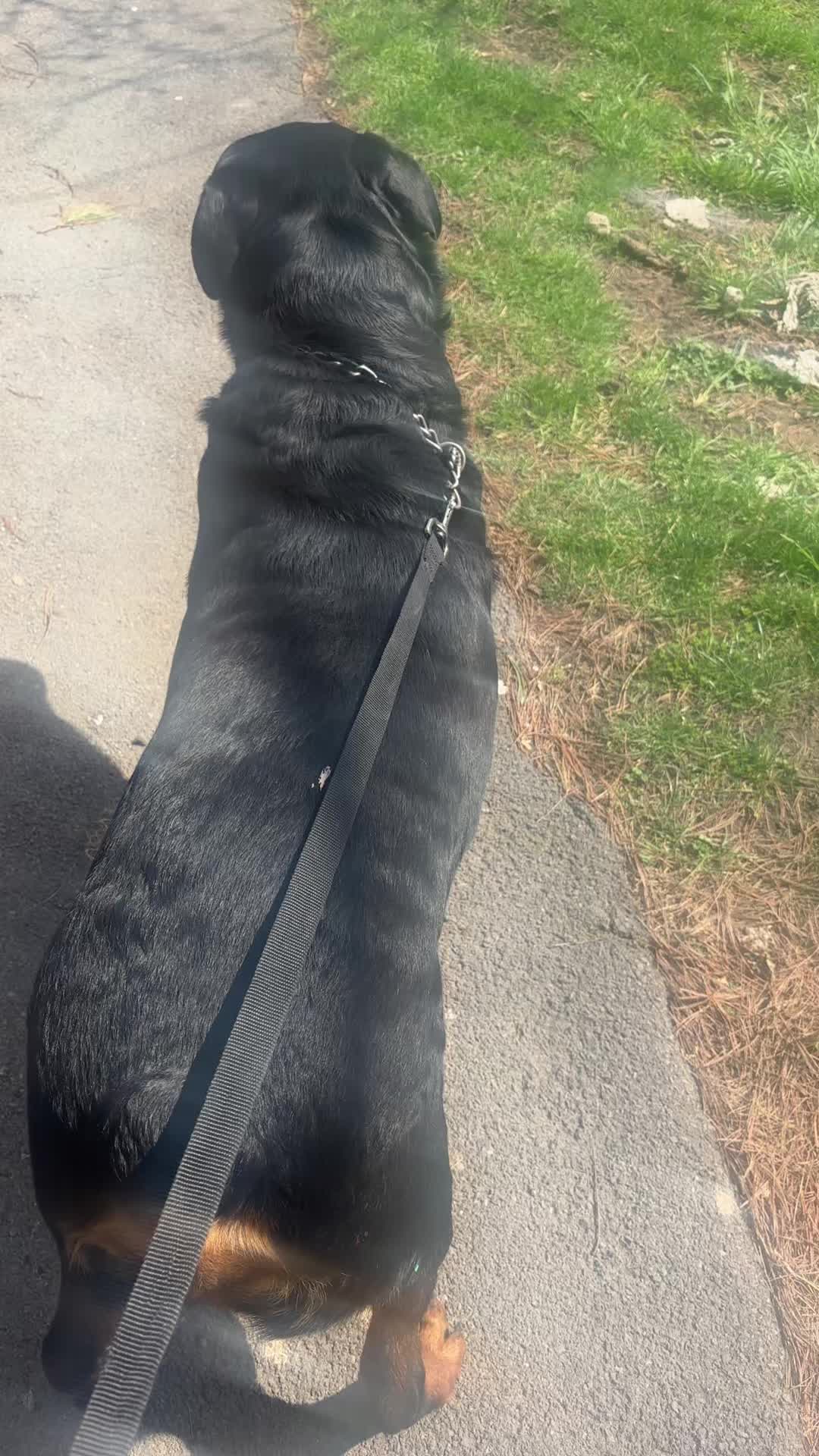 @🦋💧Thick ums 🥰❤️