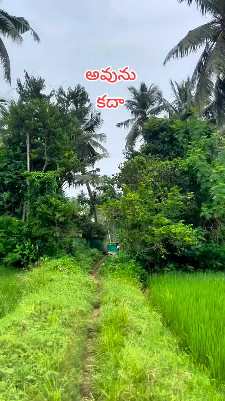 @🆁︎🅰︎🅼︎🆄︎బట్టెలంక కుర్రోడు