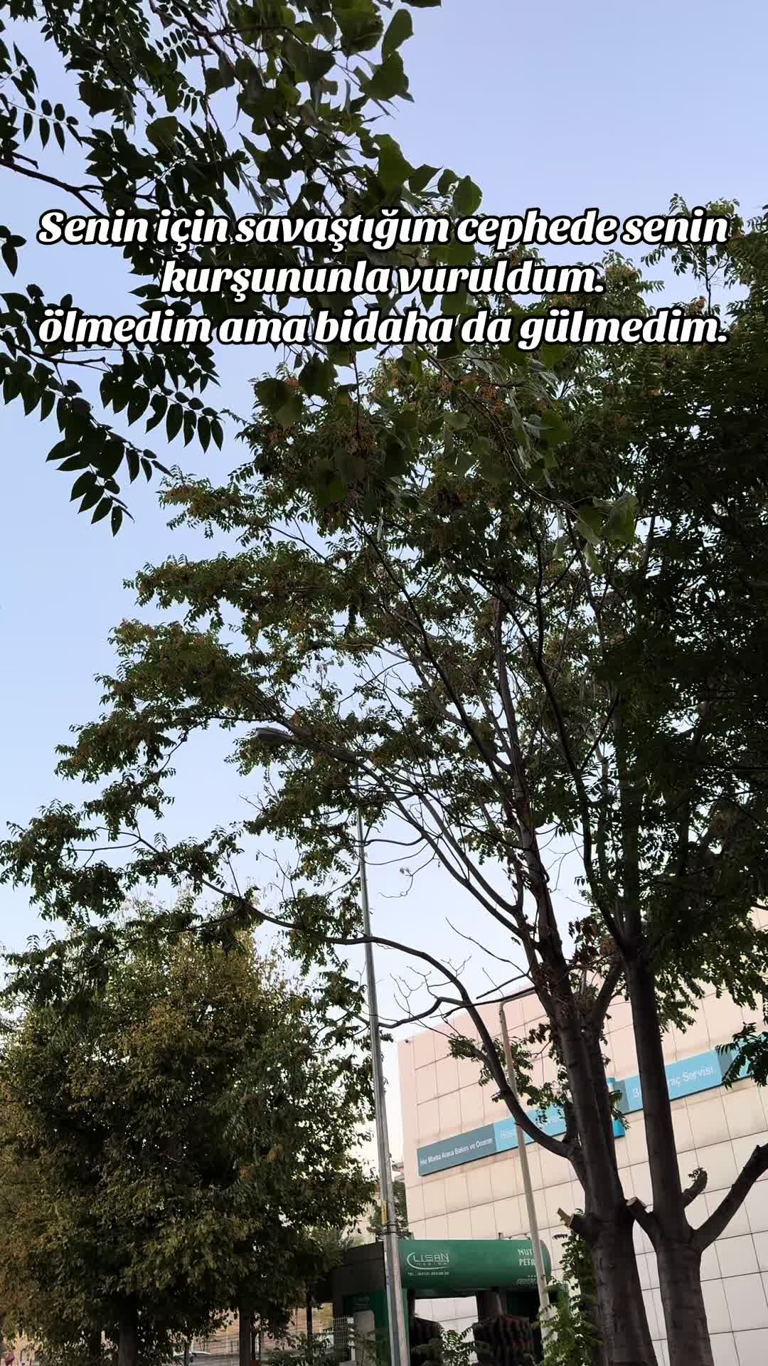 @Burak &Ccedil;il