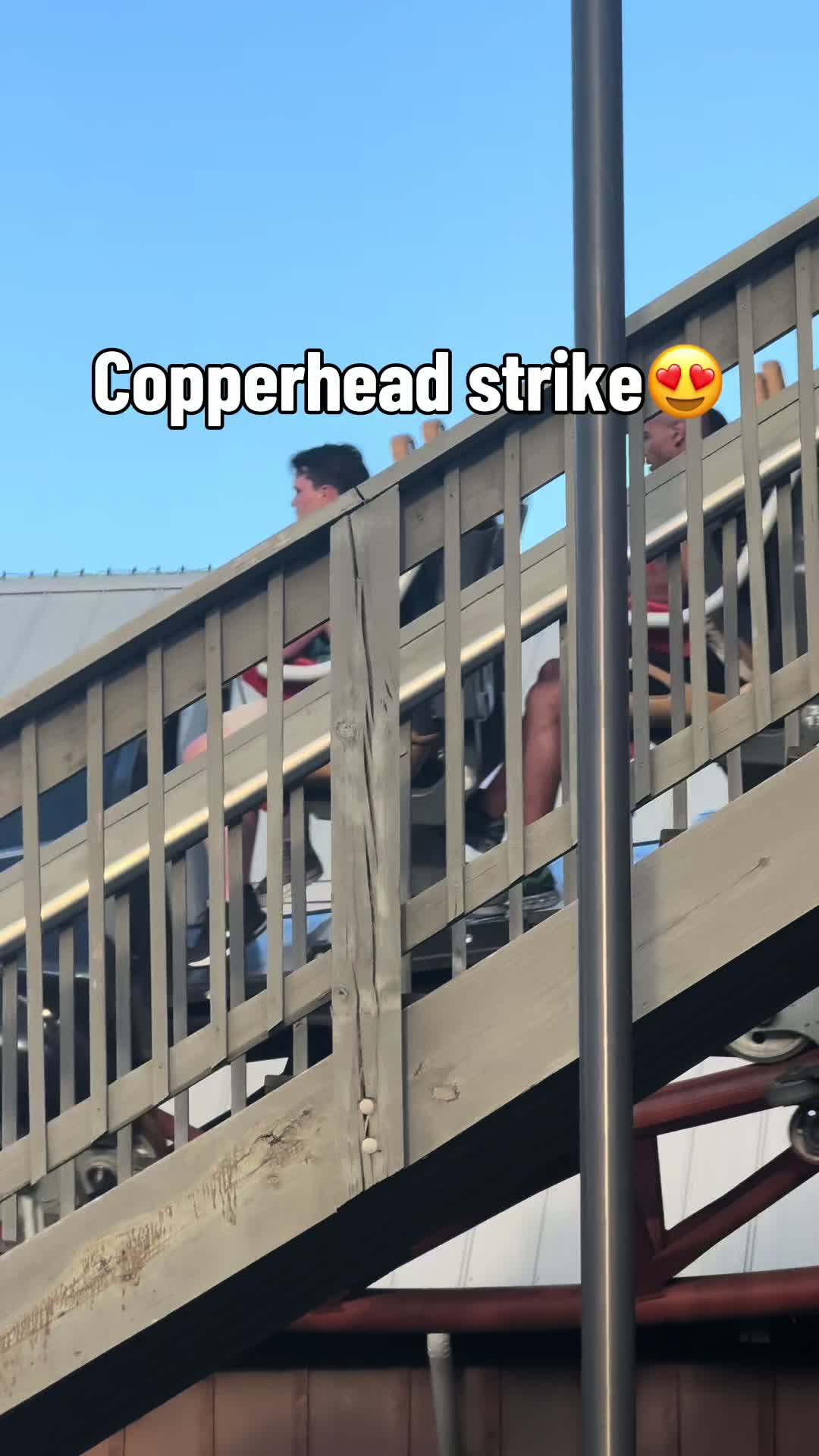 @smthboutrollercoasters