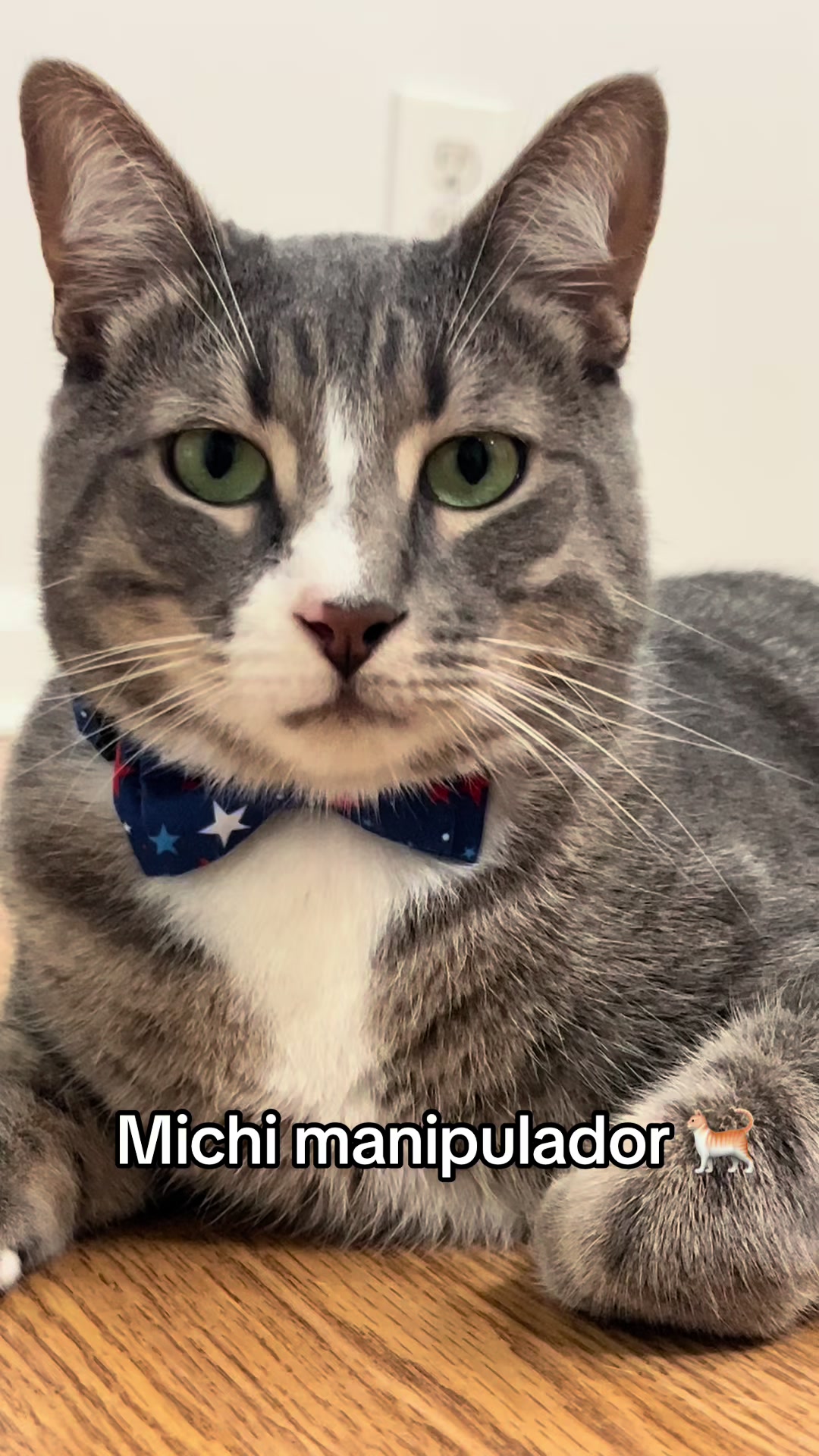 @michimatiass