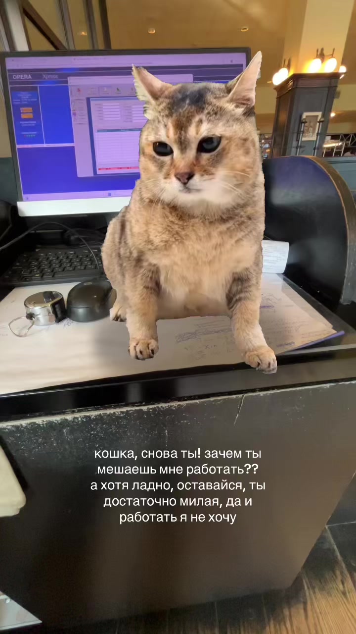 @ритик