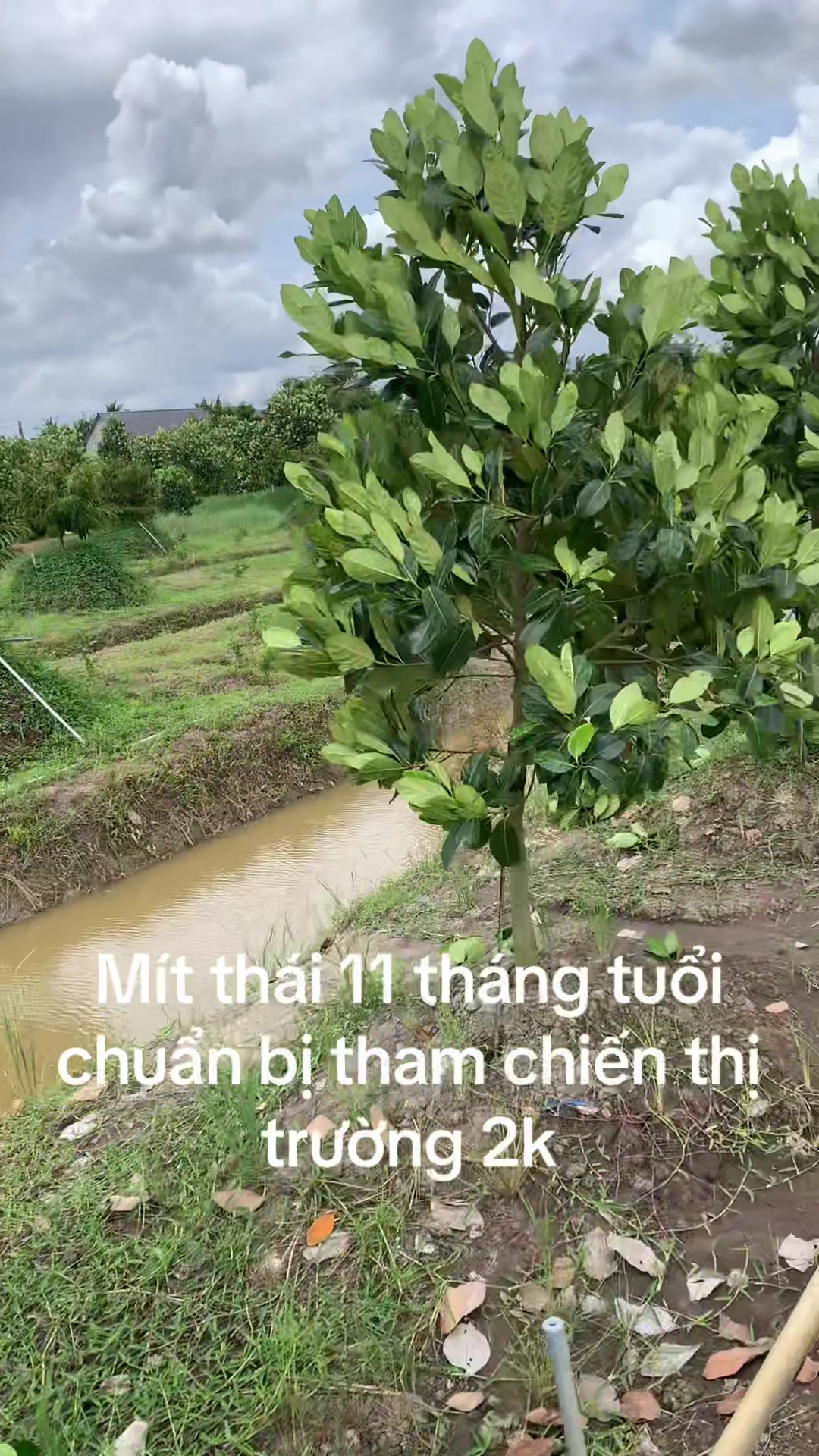 @👻👻